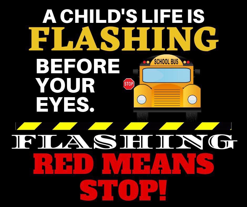 A Child's Life is Flashing before your eyes. Flashing Red Means STOP! image