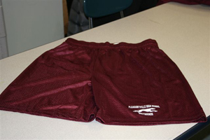 Greyhound Shorts Image